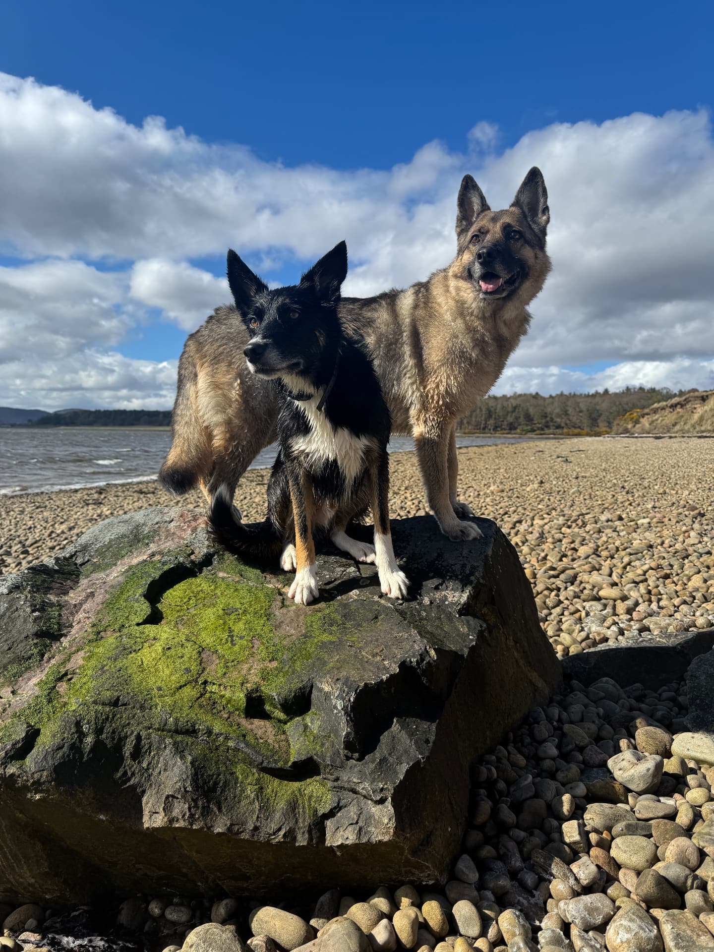 Fraya and Mike on a rock at a Highland beach