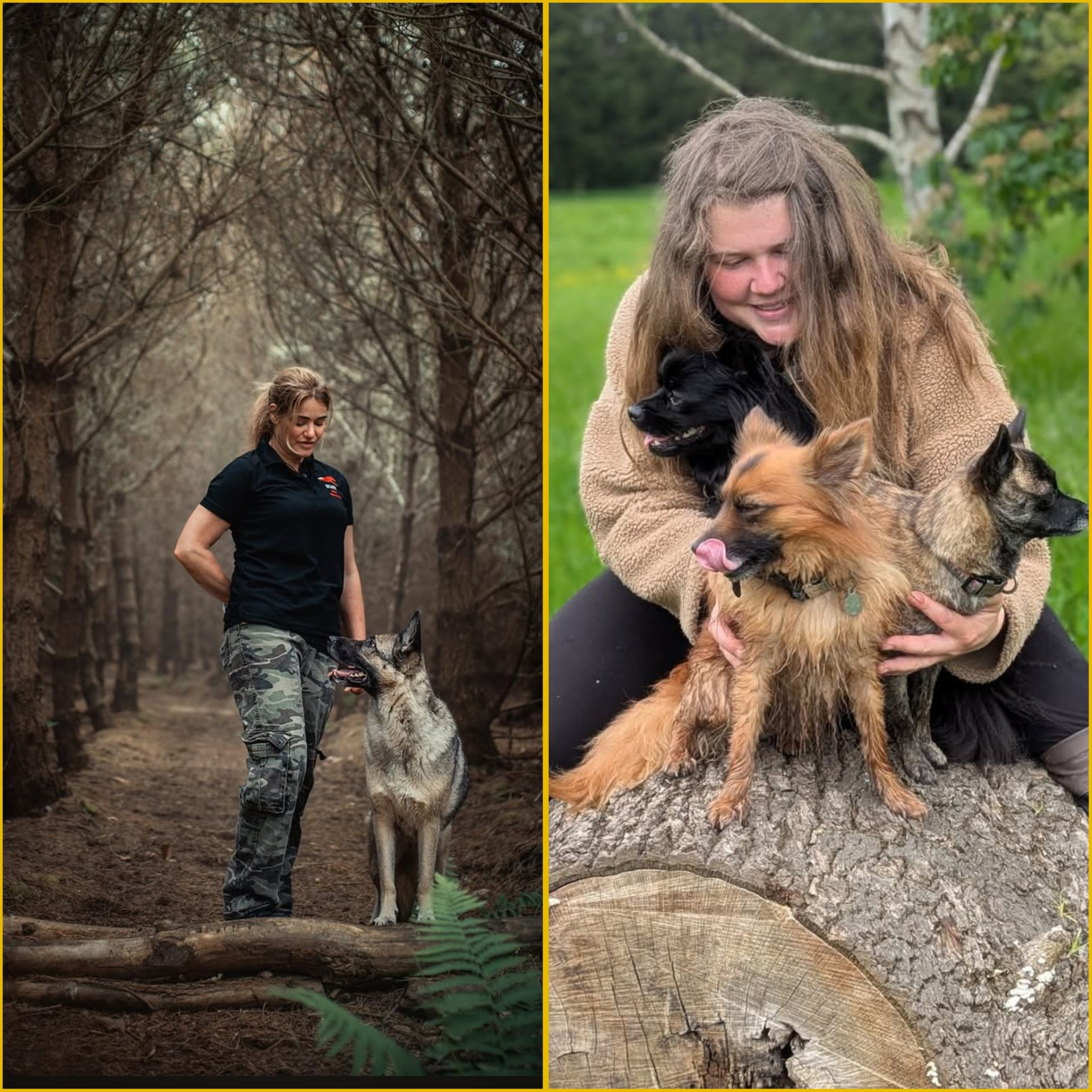 The Canine Partnership Project training team